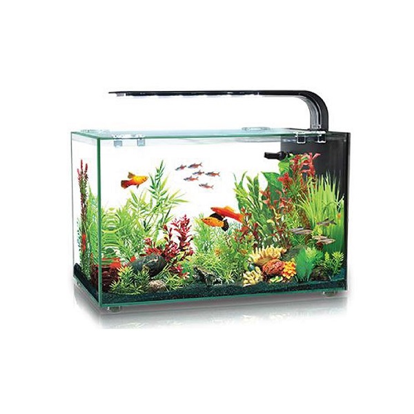 Ενυδρείο AquaSyncro Desktop 13L