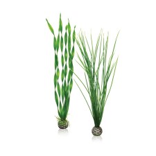 Easy-plant-set-L-green5