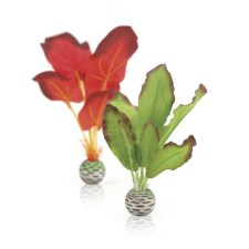 Silk-plant-set-green-red