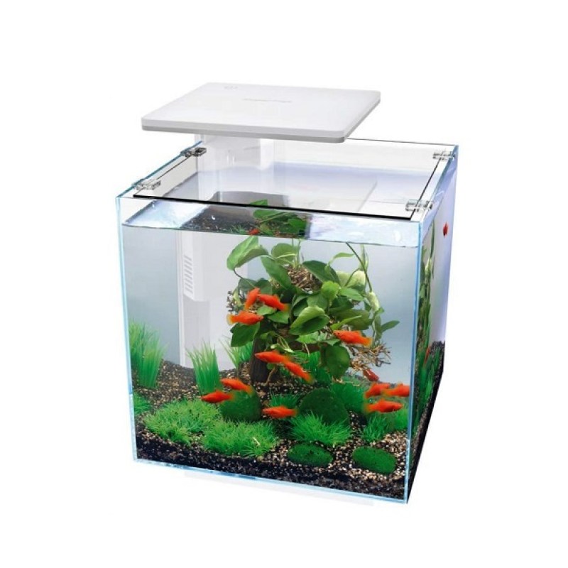 aquarium-superfish-qubiq-30-white