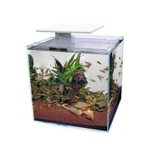 aquarium-superfish-qubiq-60-white