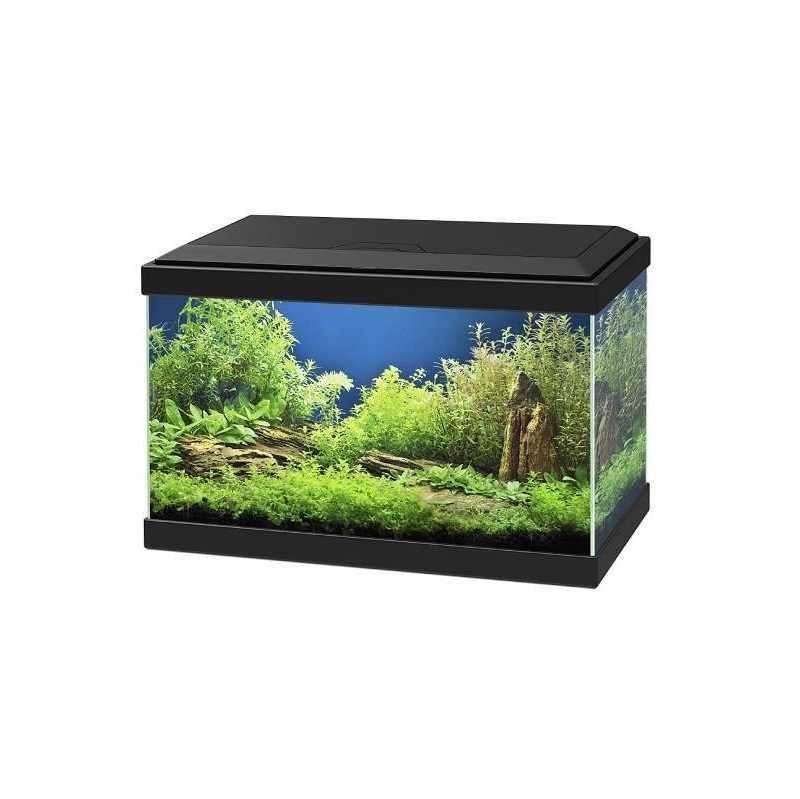 ciano-aquarium-aqua-20-bluefish-aquariums