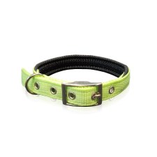 collar-neoprene-green