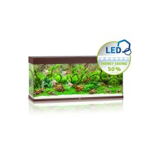 enydreio-juwel-rio-240-led-dark-wood6