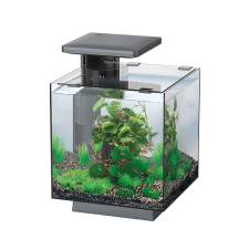 enydreio-superfish-qubiq-15-black-bluefish-aquariums