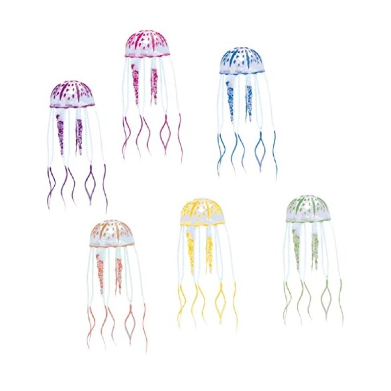 jelly-fish-amtra