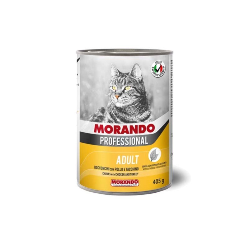 morando-professional-cat-kommatia-kotopoulo-galopoula-mo099575