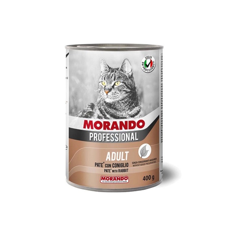 morando-professional-cat-pate-kouneli-mo012636