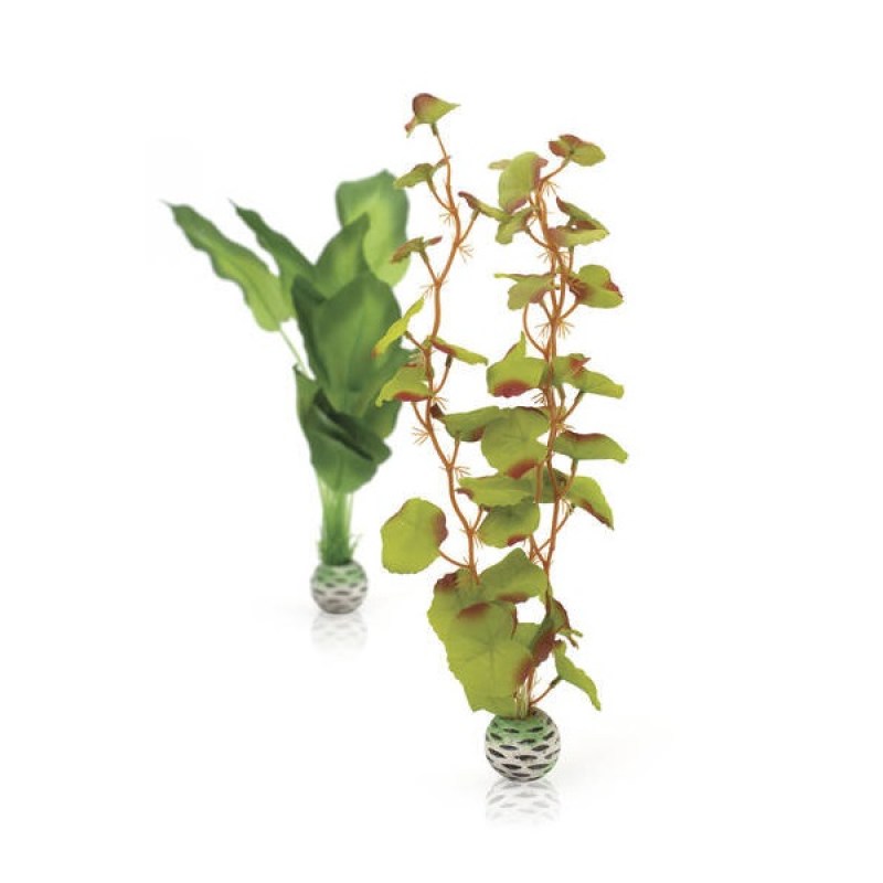 plant-set-green-medium