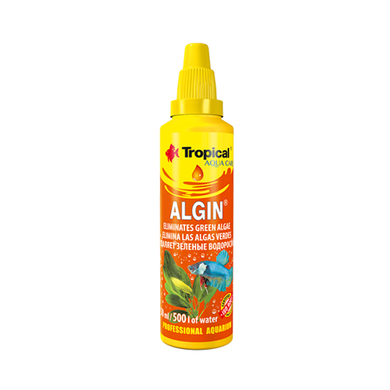 tropical-algin4