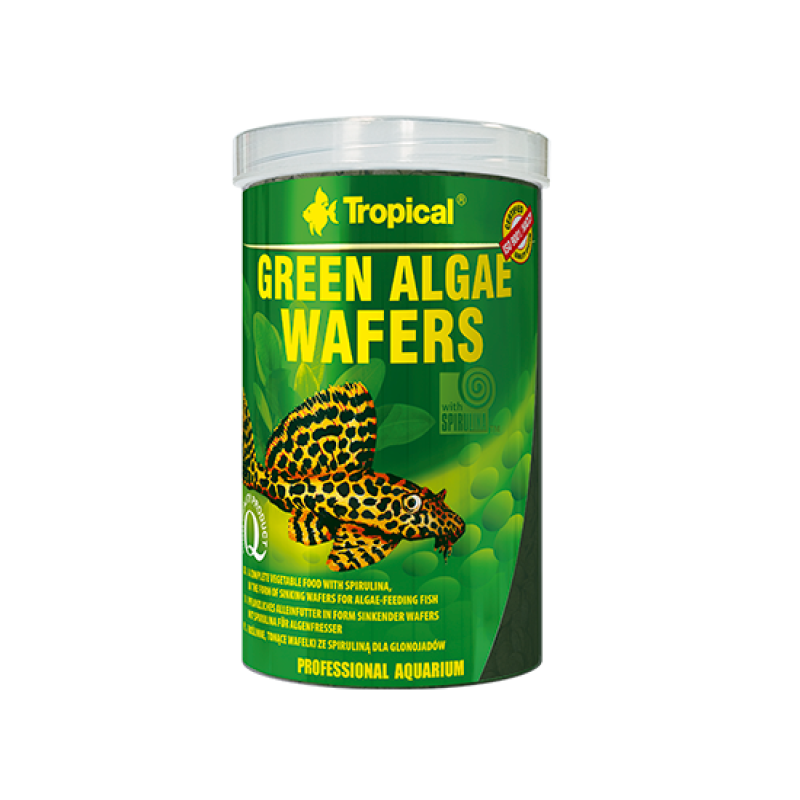 tropical-green-algae-wafers2